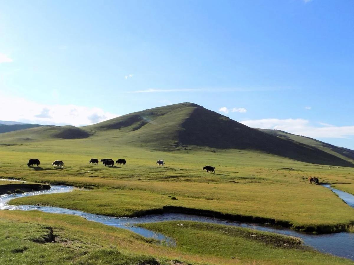 best-time-to-visit-mongolia-hero
