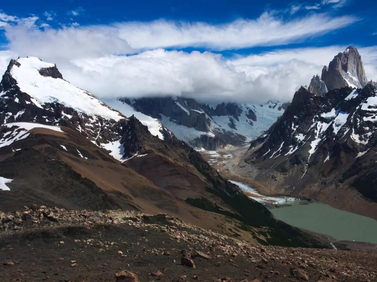 spring-wildflowers-patagonia