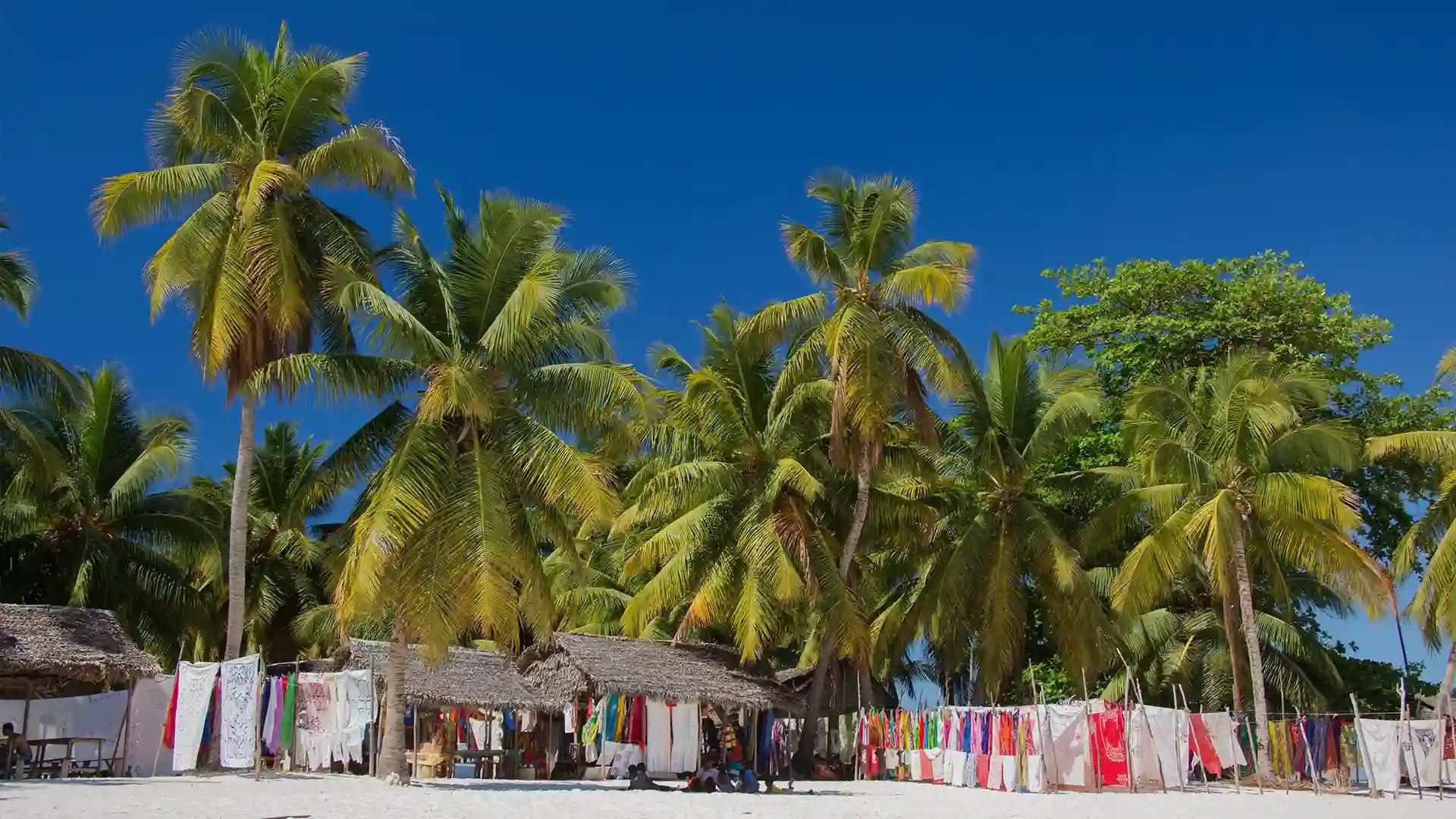 Small Group Tour to Madagascar