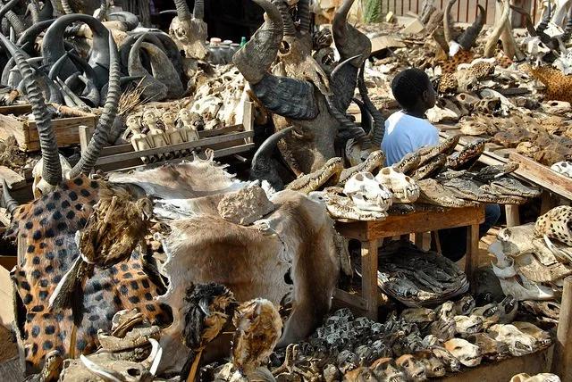 benin-tour-landscape