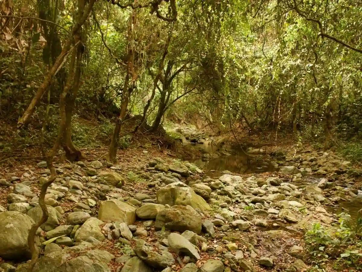 Ciudad Perdida