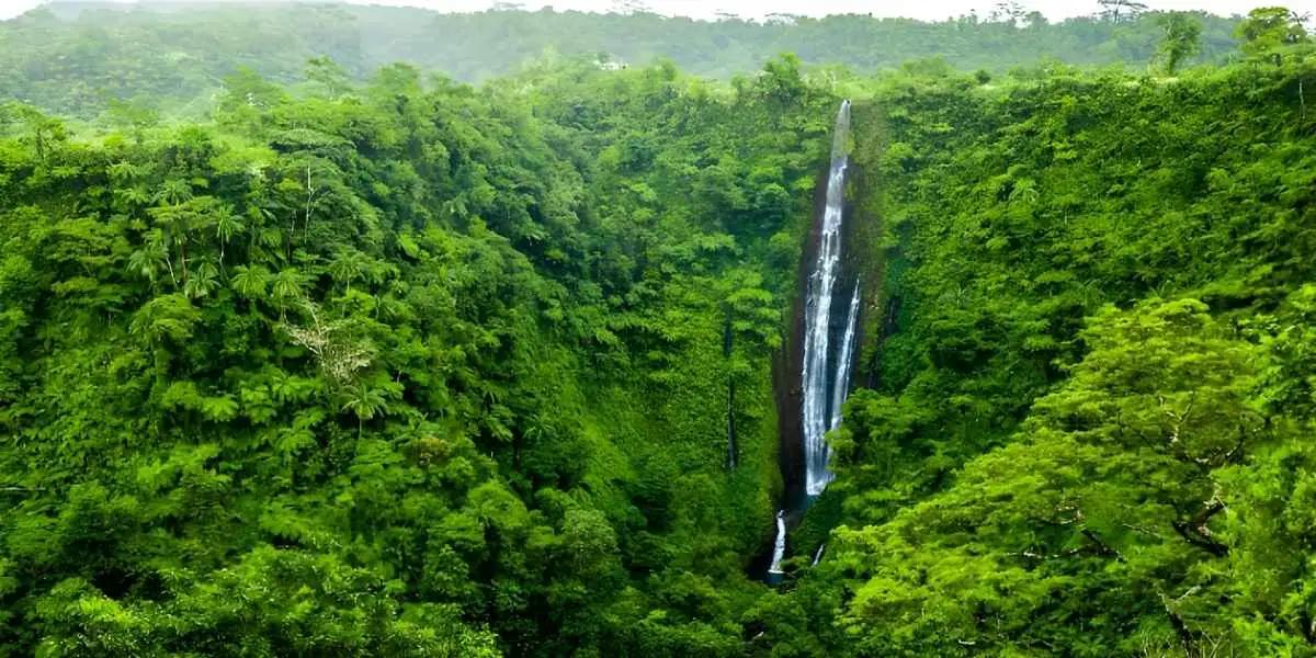 Pacific Islands landscape