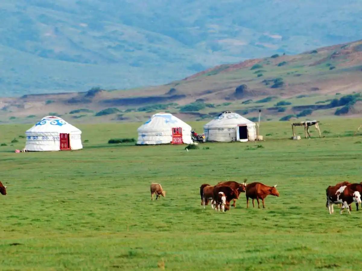 Mongolia seasons