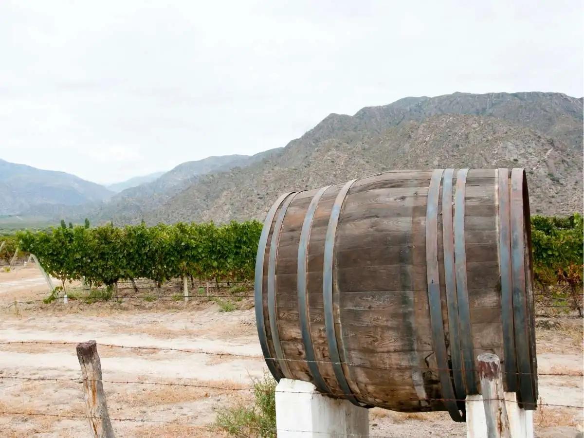 Cafayate and the Wine Route of the North