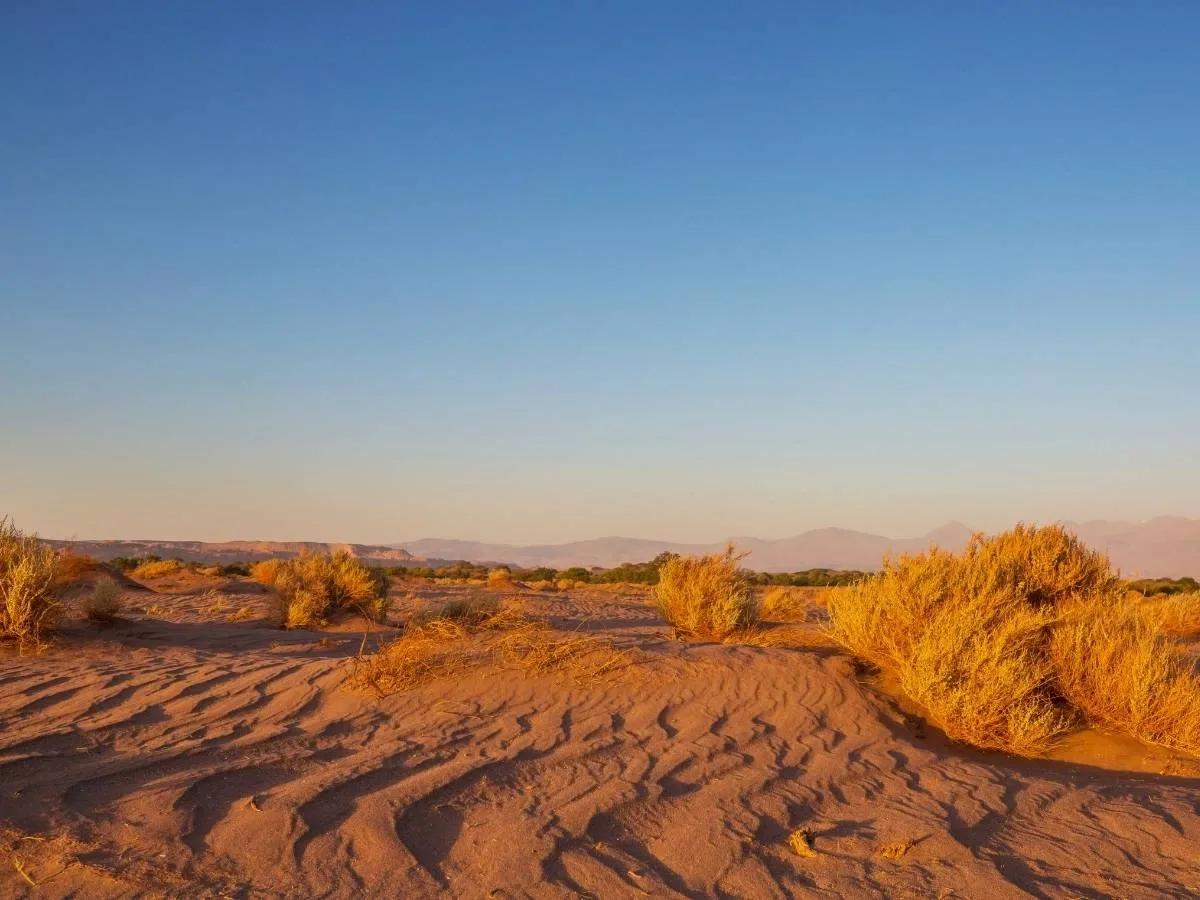 Atacama Desert