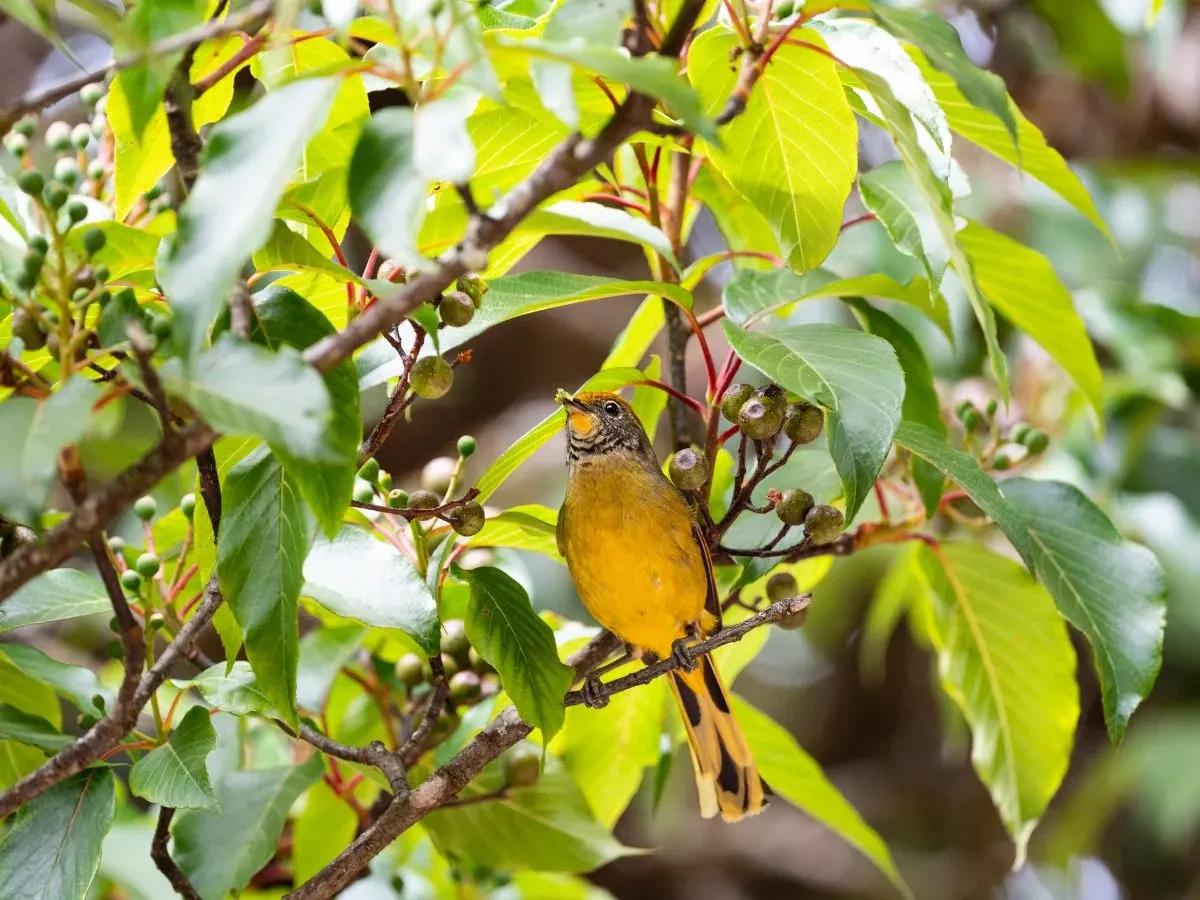 Remarkable Birding Destinations