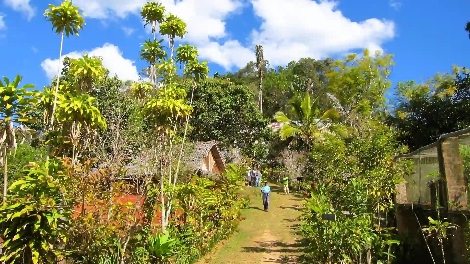Why This Might Be the Last Year to See Madagascar Like This