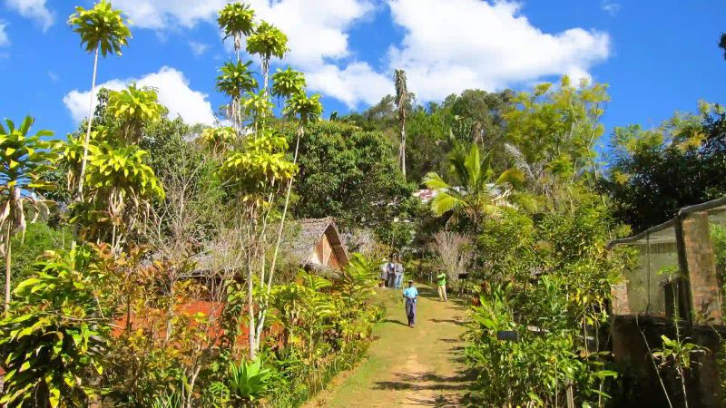 Why This Might Be the Last Year to See Madagascar Like This