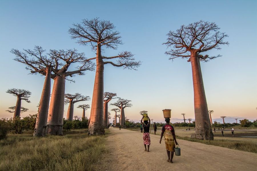 Morondava 