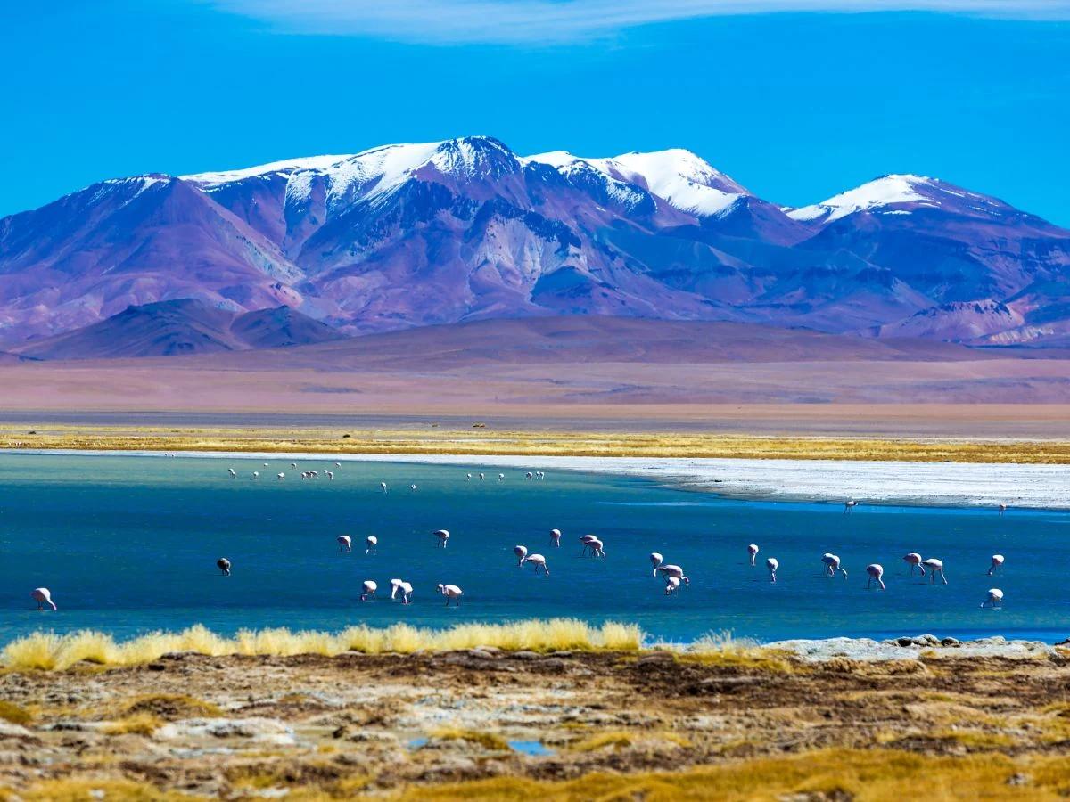 atacama desert