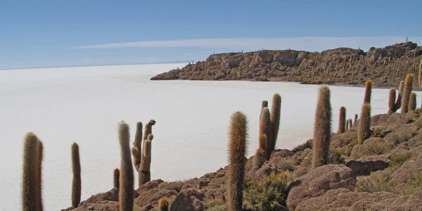 Expert Guides to Travelling in Bolivia: A Cultural and Natural Odyssey