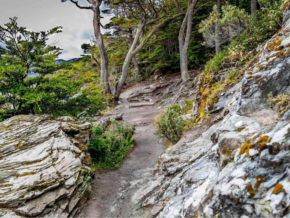 Tierra del Fuego National Park