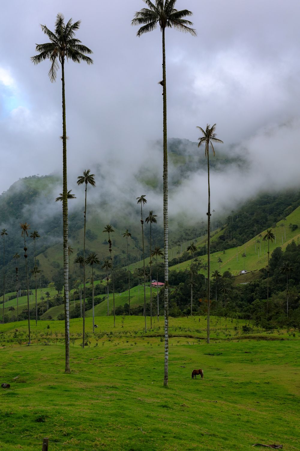 Panama & Colombia Tailormade - Canals, Coffee & Cultural Landscapes 