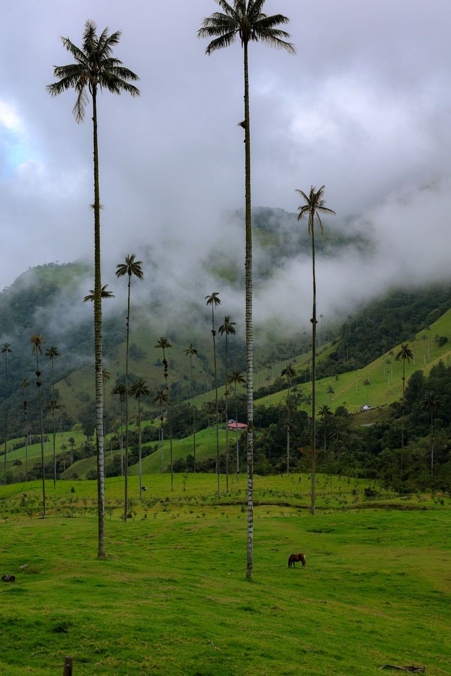 Panama & Colombia Tailormade - Canals, Coffee & Cultural Landscapes 