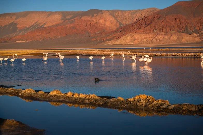 Argentina-Puna-Tour-2-1
