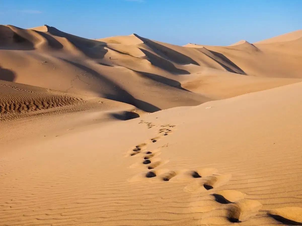 the Huacachina Desert