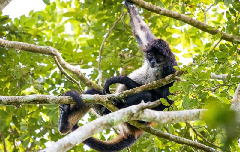 Hidden Guianas without Tour Leader – Unescorted