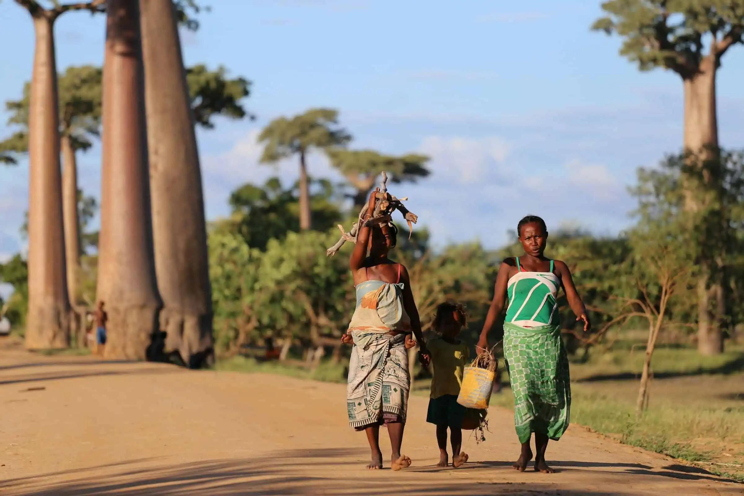 Madagascar Travel Guide