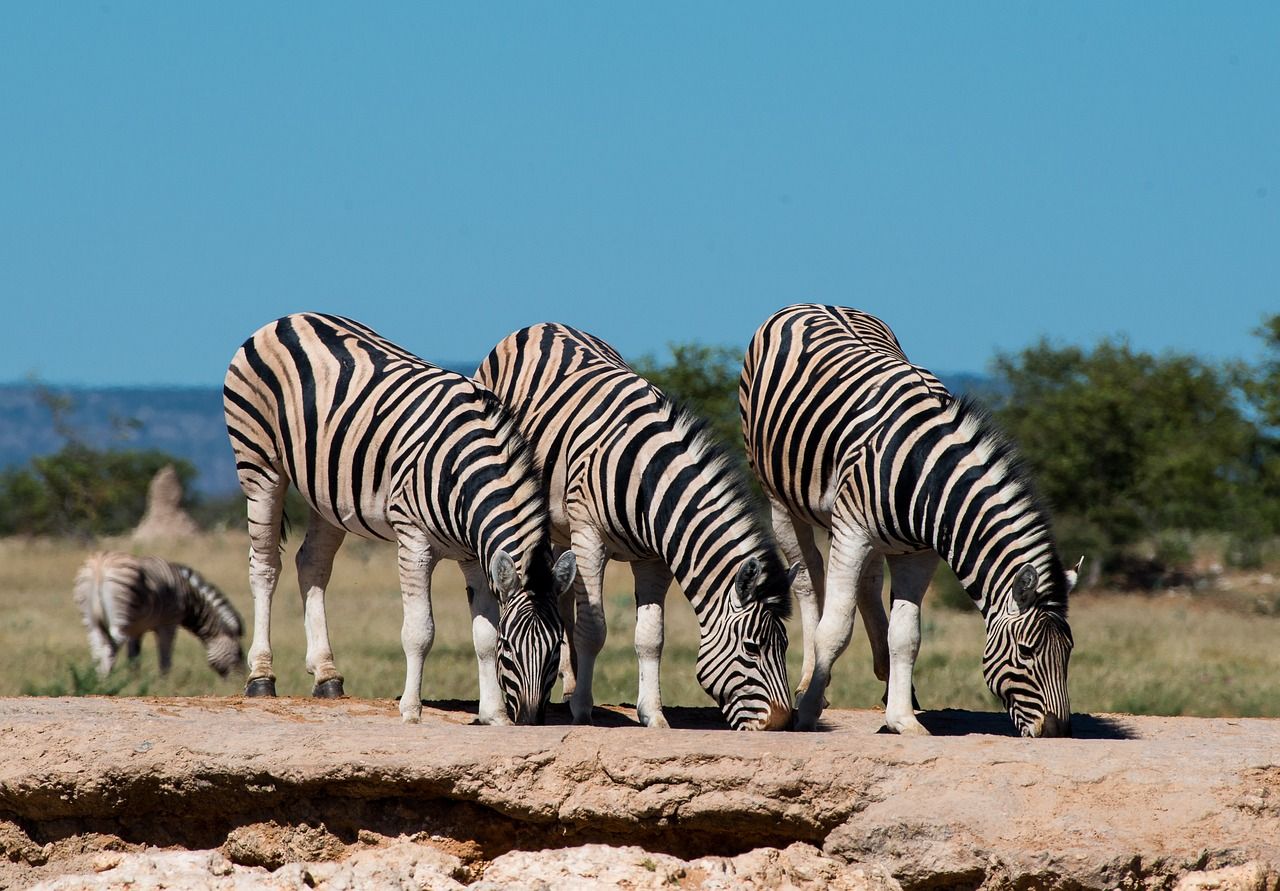 Namibia landscape