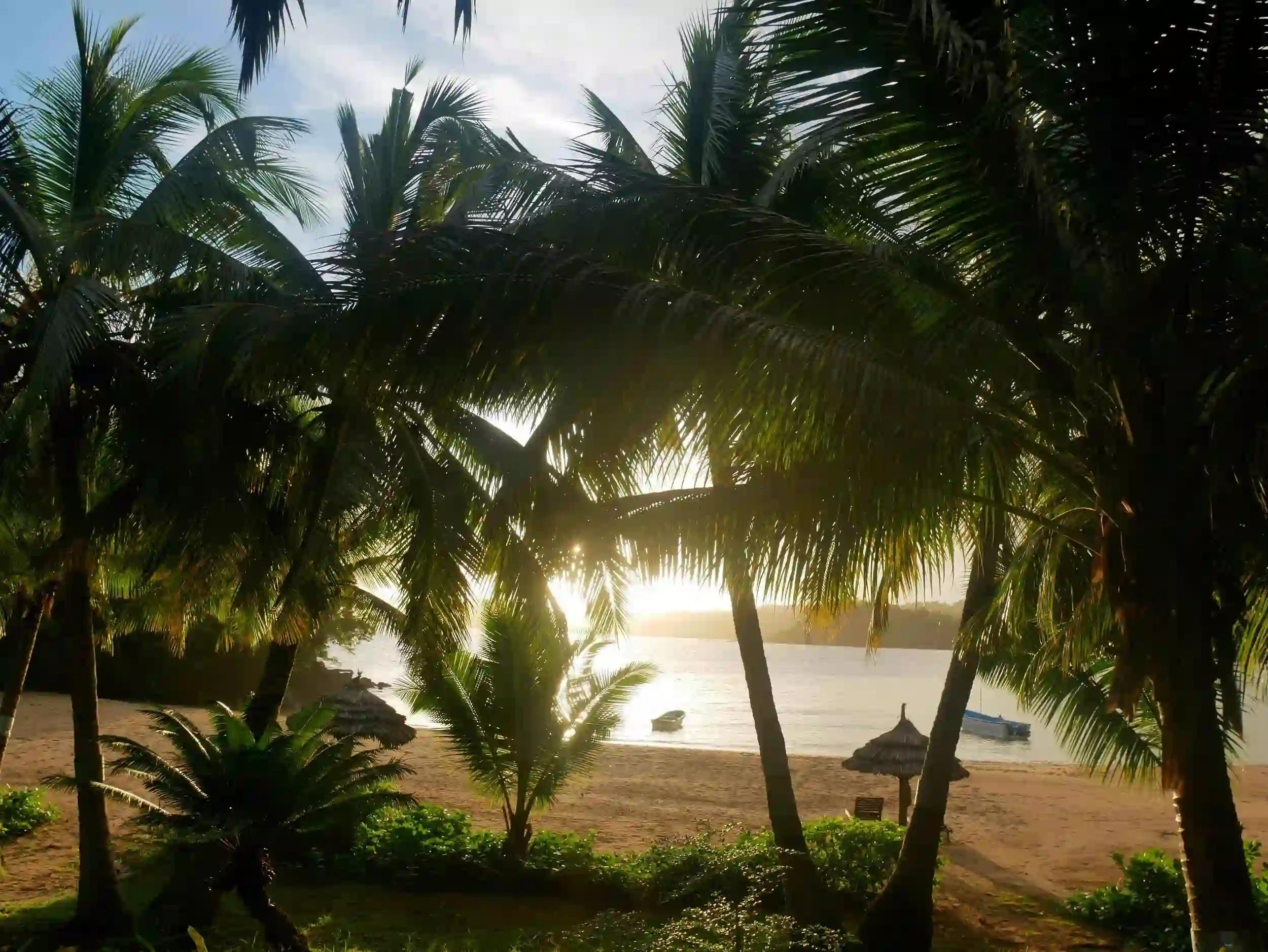 comoros-laka-lodge-whales-dolphins