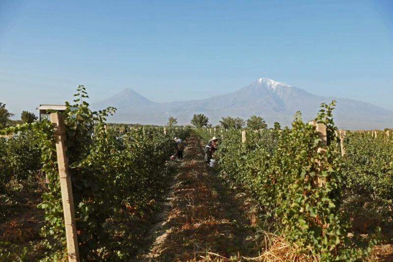 Armenia landscape