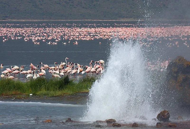 Kenya-Jade-Sea-Tour