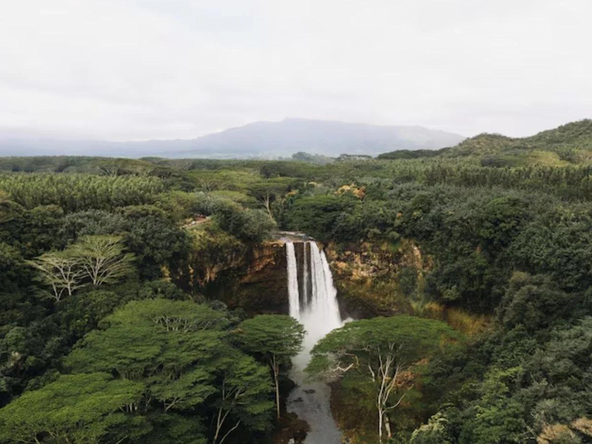 Kaieteur Falls Adventure