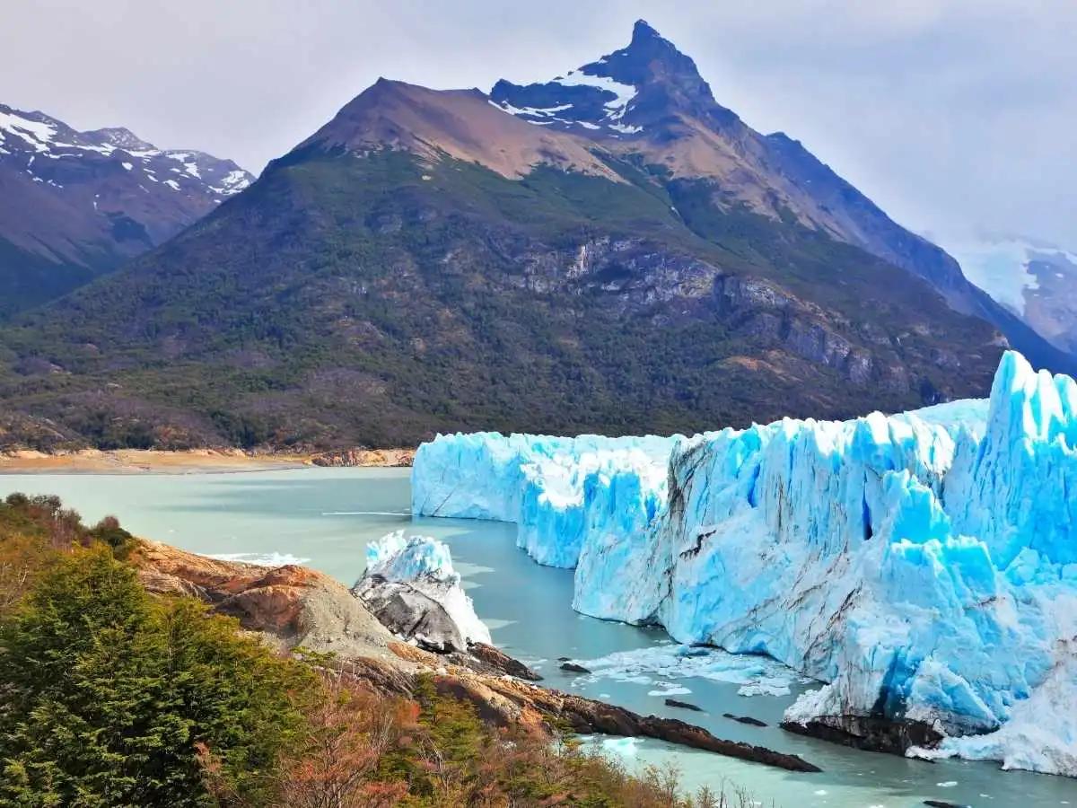 spring-wildflowers-patagonia
