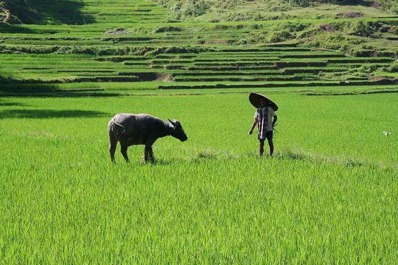 Indonesia-Tour-4