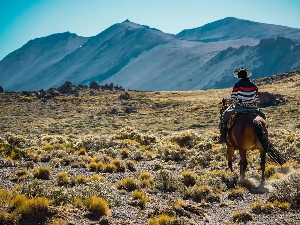 Gaucho on horseback 