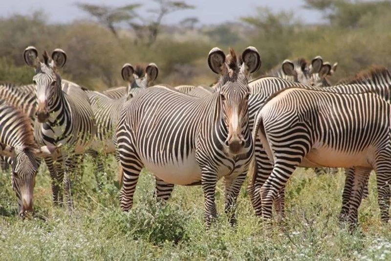 Kenya-Northern-Regions-Chalbi-Desert