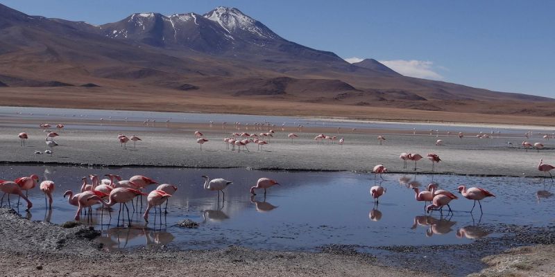 Bolivia