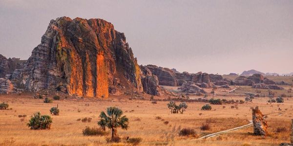 What To Do in Madagascar