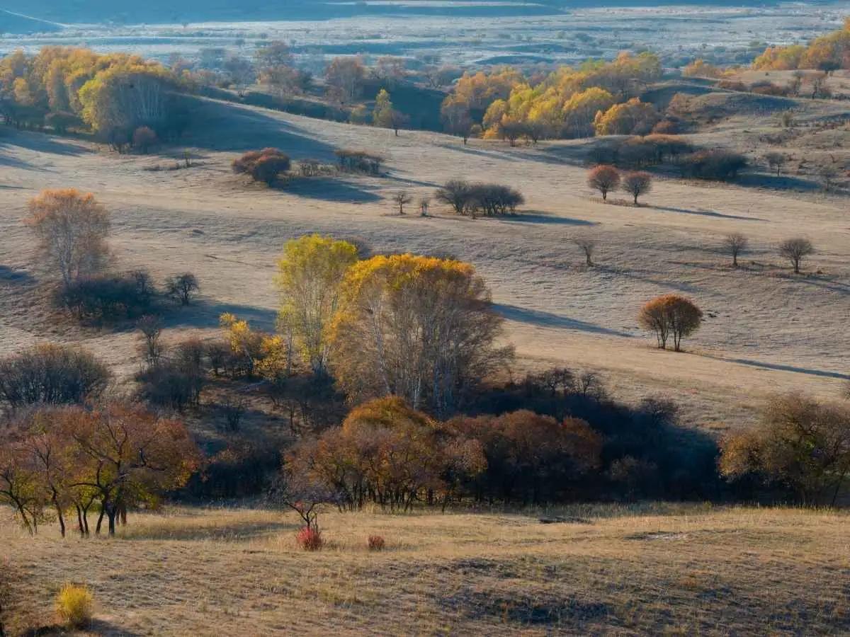 autumn-inner-mongolia