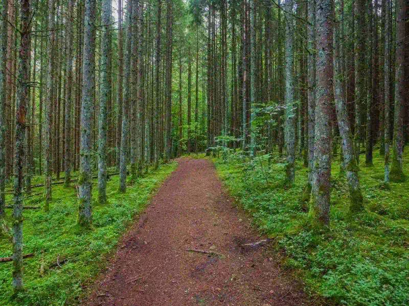 Latvia