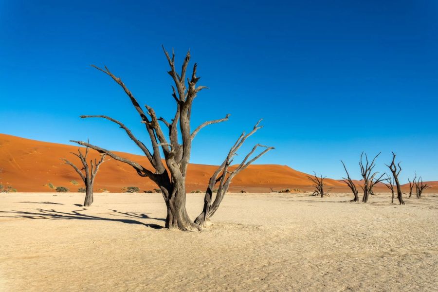 Deadvlei