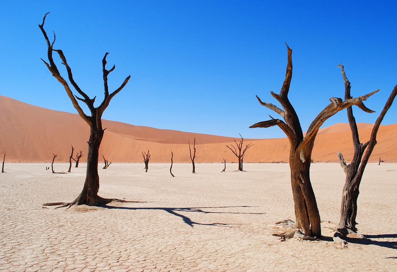 Deadvlei