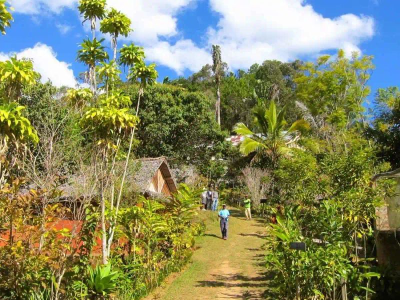 Madagascar