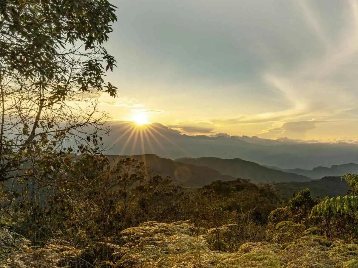 From the Amazon Rainforest to the Andes