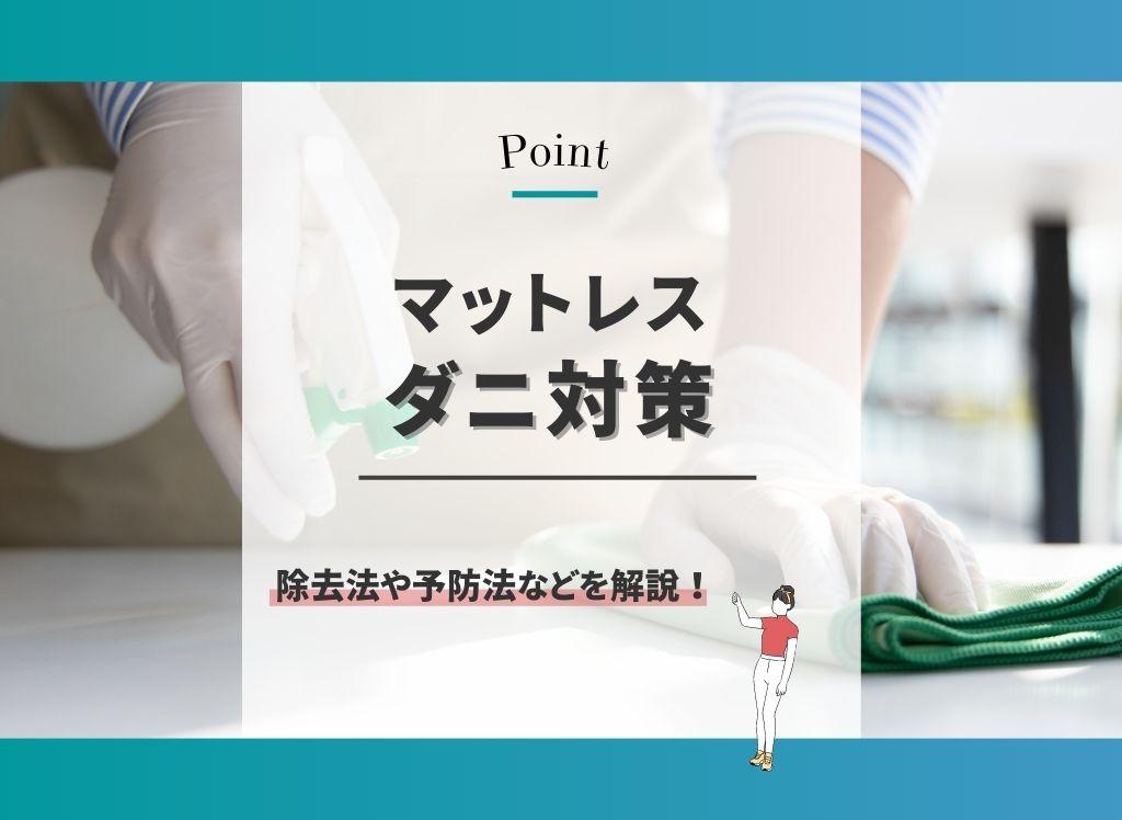 マットレスのダニ対策をする方法とは?退治・除去・予防するおすすめの方法を解説