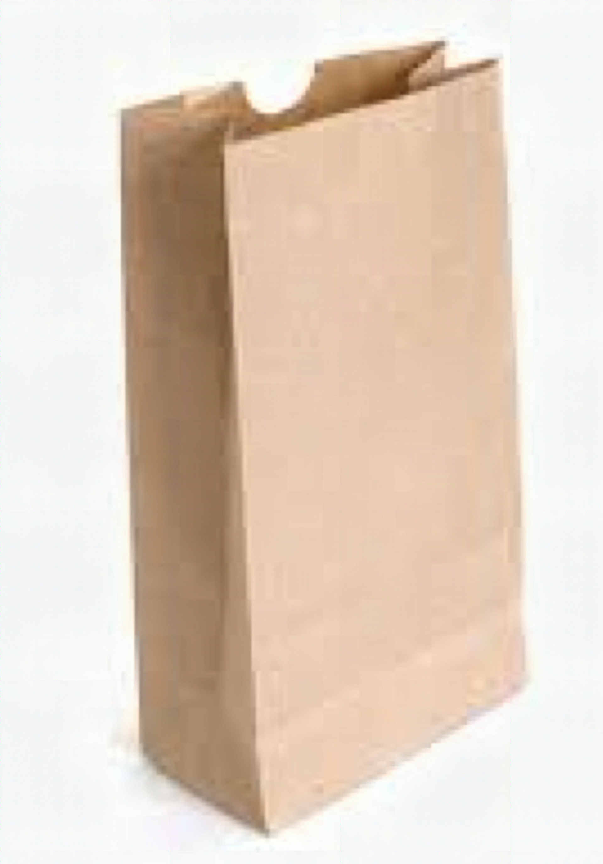 Kraft Paper Grocery Bag - B50 - 20lb - pk/400   70221