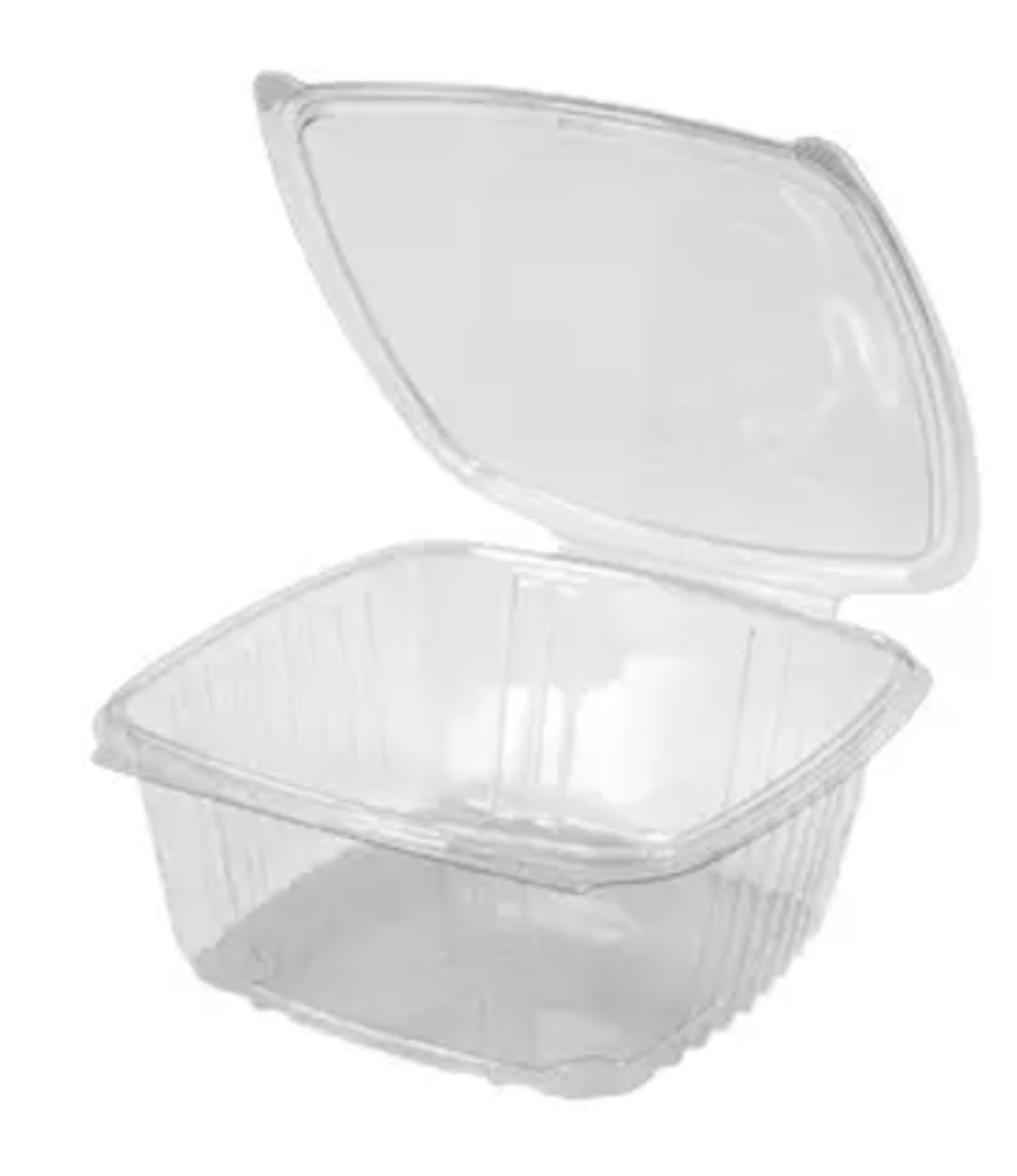 16oz Plastic Hinged Container AD16  200/cs  5 3/8" x 4 1/2" x 2.63"