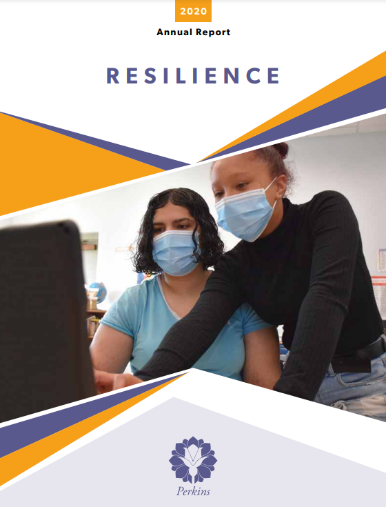 The 2020 Perkins Annual Report