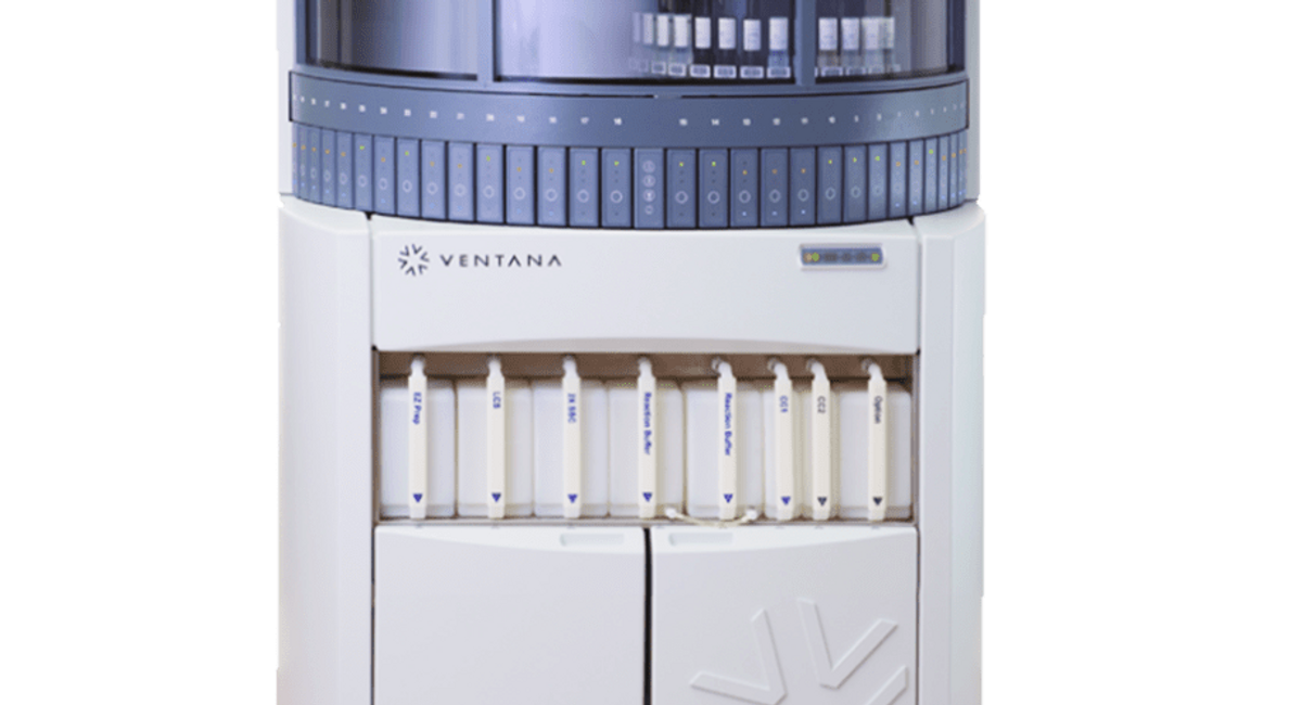 Ihc Machine Histology / IHC | Hematogenix — Bringing Precision Medicine to Everyone