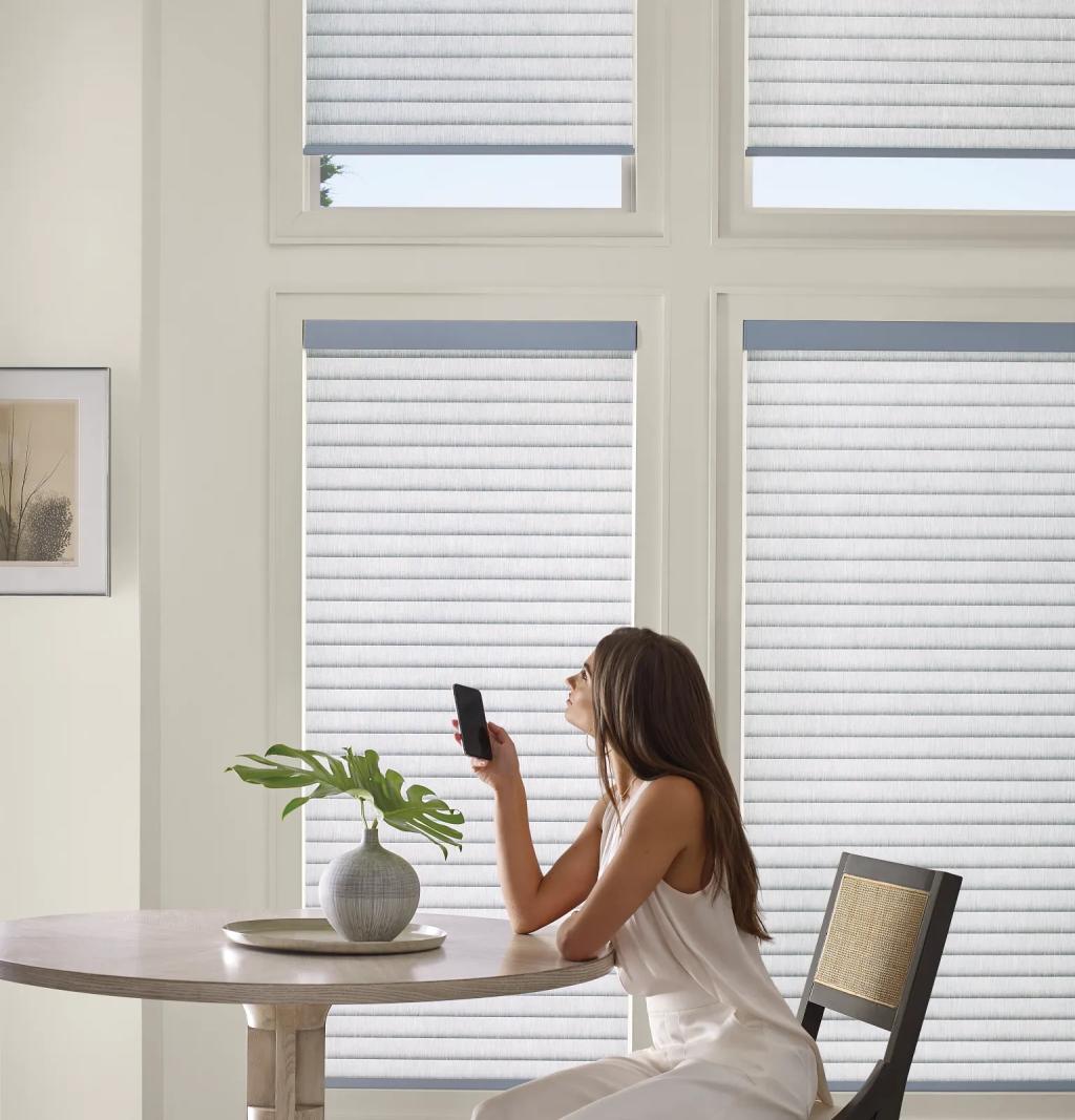Motorized Shades
