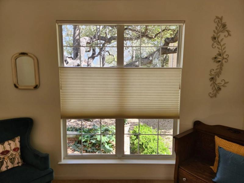 Cellular honeycomb shades partially lowered on large double window in bright living room