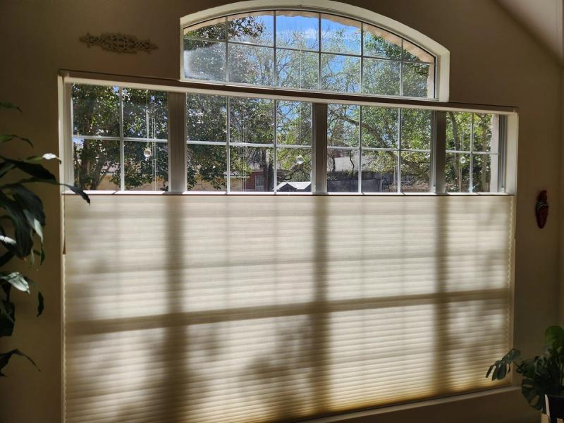 Cream cellular honeycomb shades partially raised on large arched triple window with trees visible outside