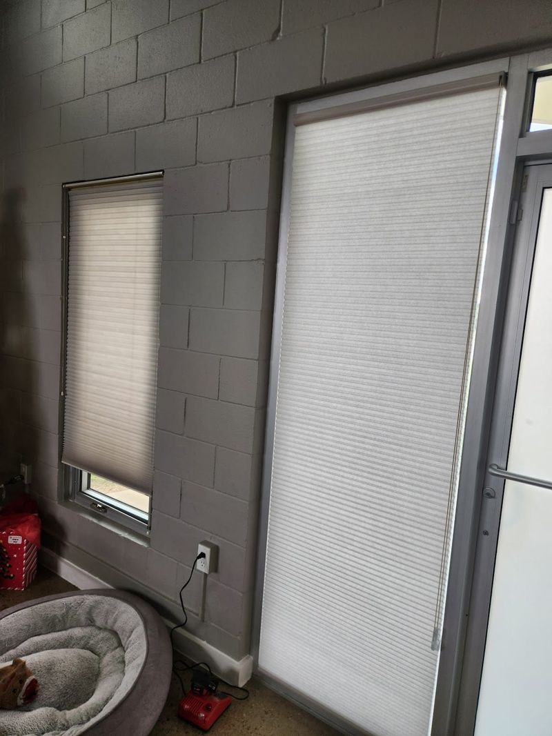 Cellular honeycomb shades on a door and window in a concrete block room