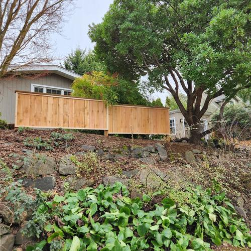 Fences after picture frame and cocktail rail install