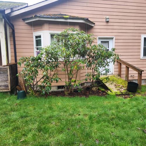 second ramp in need of replacement